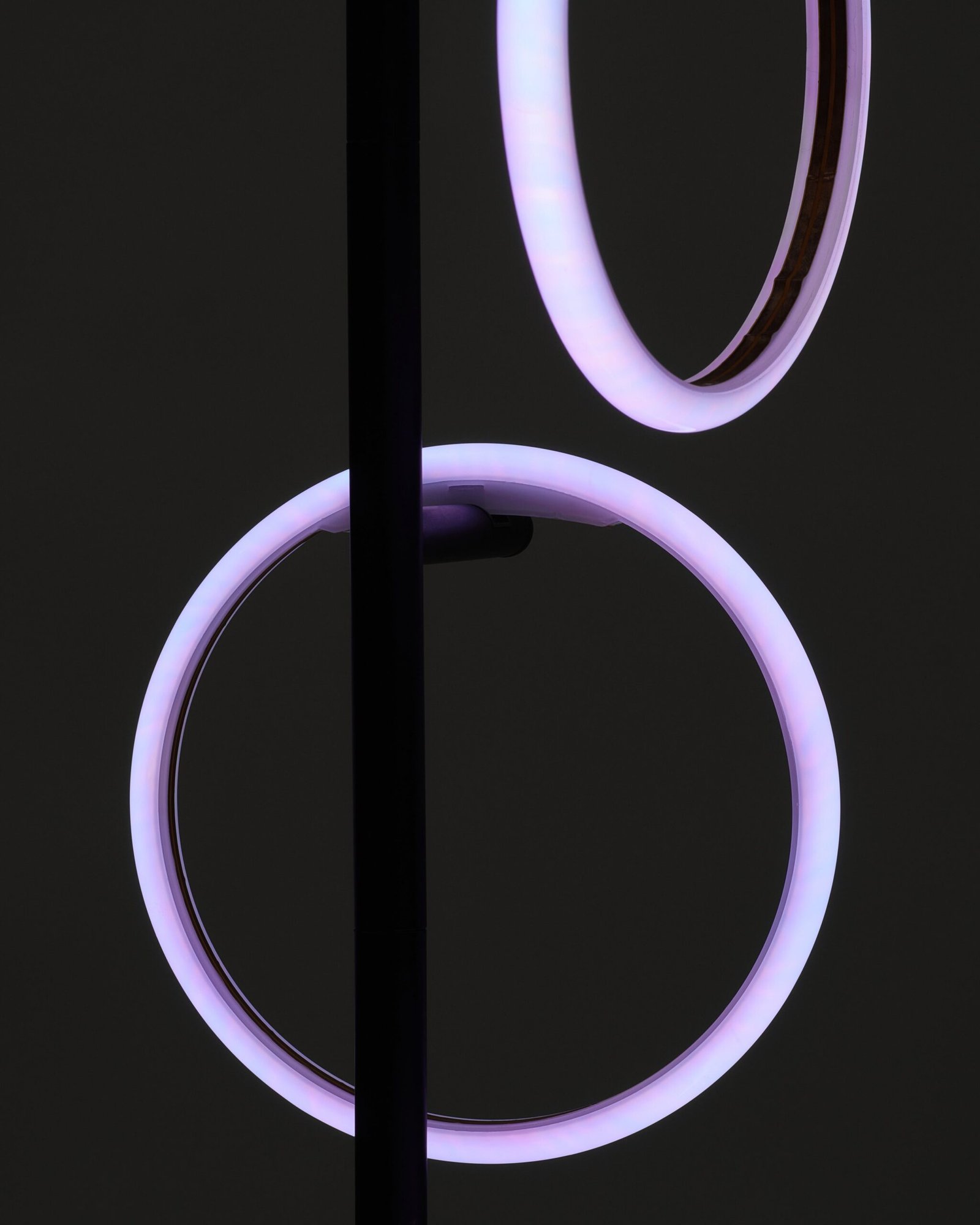 closeup.jpg closeup.jpg